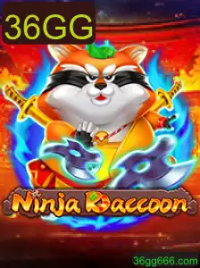 Descubra o Mundo de Aventura de NinjaRaccoon